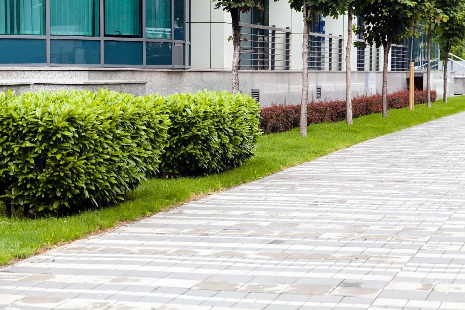 Commercial landscaping project with turf and garden beds
