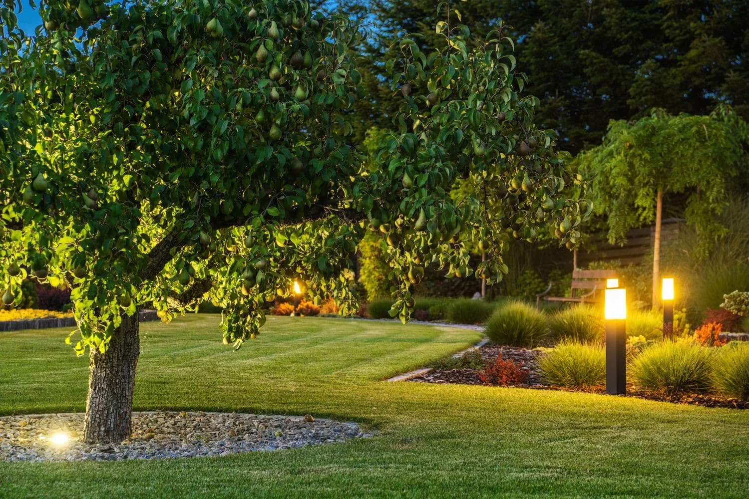 Garden bed with feature lighting around a mature tree
