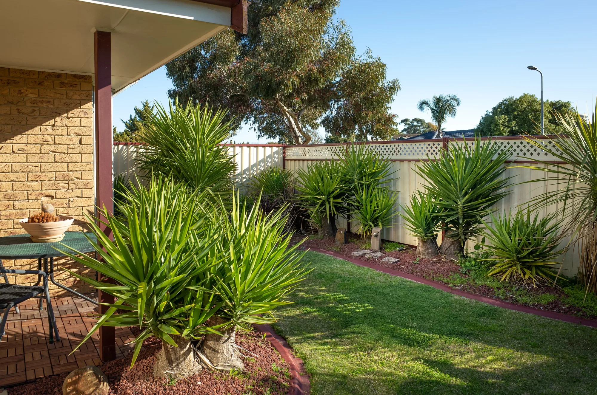 Established garden bed planting