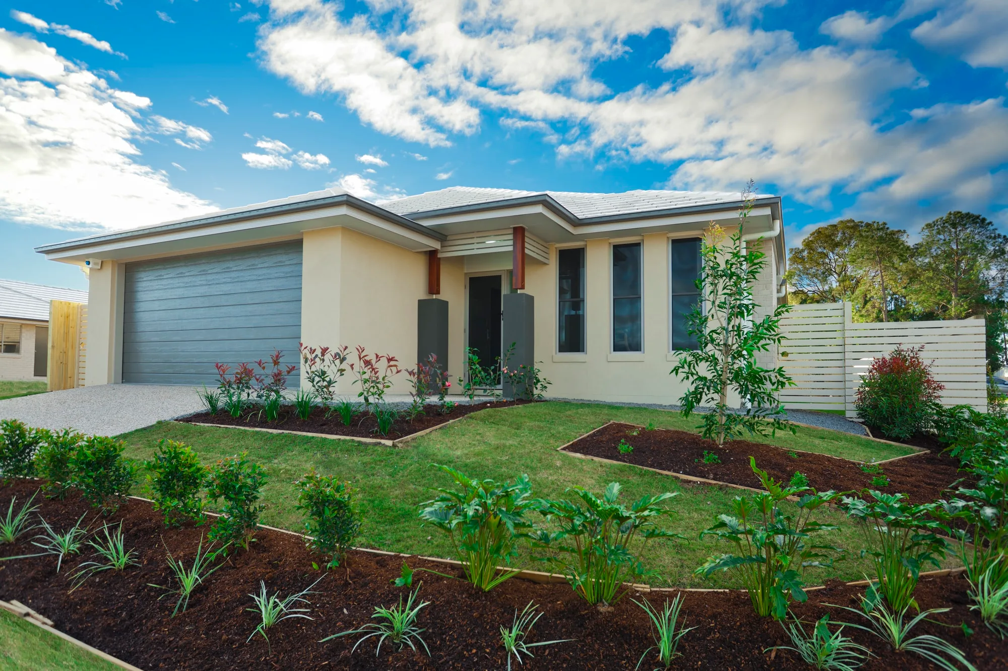 Sustainable landscaping project with established planting